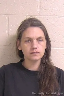 Mugshot of AMANDA CREW