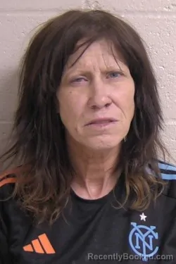 Mugshot of MANDY LAVITE