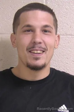 Booking photo from Madison County, Illinois