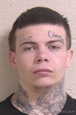 Mugshot of JARED HEIL