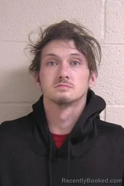 Mugshot of STEVEN WATSON