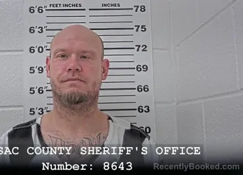 Mugshot of JEFFREY LYNN WYATT