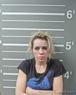 Mugshot of SAMANTHA S WEINSTEIN
