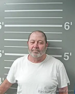 Mugshot of RONALD L STINNETT