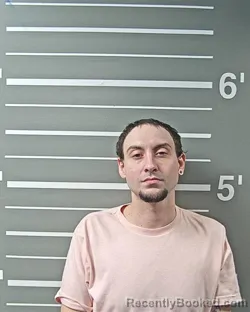 Mugshot of MARK R SMITH