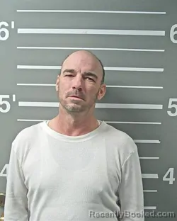 Mugshot of STEVE A REFFETT