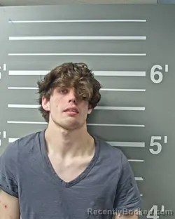 Mugshot of JOSHUA M MILLER