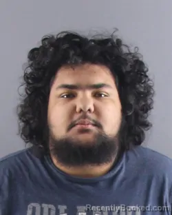 Mugshot of LUCAS M ARMSTRONG