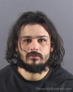 Mugshot of ROBERT L HETHERINGTON