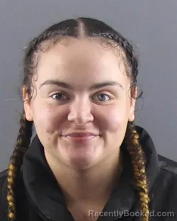 Mugshot of JULIE A HILL