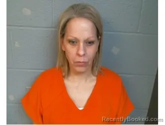 Mugshot of Brandy Houk