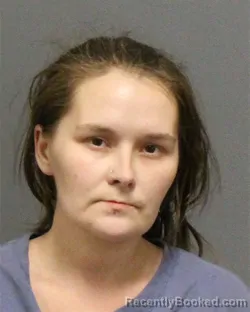 Mugshot of AMANDA LYNN ELLIOTT