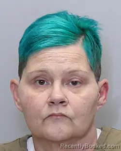 Mugshot of ASHLEY DAWN RODRIGUEZ