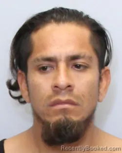 Mugshot of JORGE ARMANDO FLORES-DELANGEL
