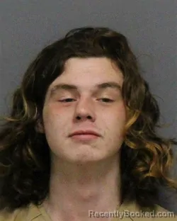 Mugshot of JASON MATTHEW HODGIN