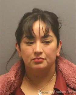 Mugshot of LOURDES GALVEZ-MENDEZ