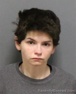 Mugshot of MEGAN MICHELLE HANSON