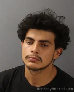 Mugshot of NESTOR STEVEN MEDRANO-REYES