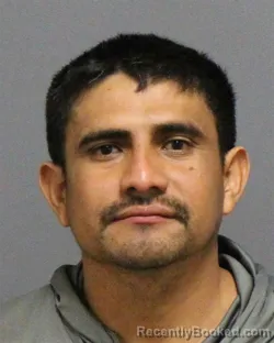 Mugshot of ROBERTO LOZANO-MARTINEZ