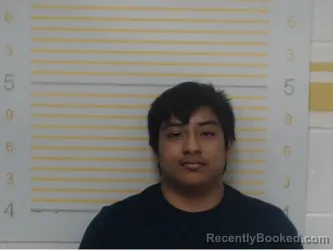 Mugshot of Luke Hamm