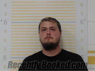 Booking photo from Randolph County, Illinois