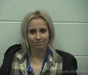 Mugshot of BRANDY N BIRD