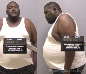 Mugshot of JAMES L ARCHER