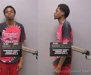 Mugshot of Deshaun T Whiteside