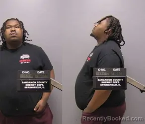 Mugshot of LAVELL L ANDERSON