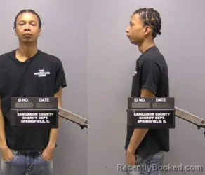 Mugshot of DEMACCO L RICHARDSON