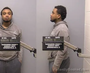 Booking photo from Sangamon County, Illinois