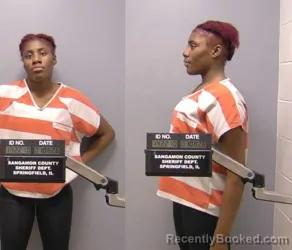 Mugshot of JELEJAH T CRAWLEY