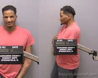 Mugshot of Brandon J Sales