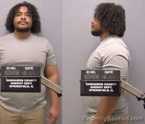Mugshot of Miles Stokes