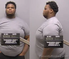 Mugshot of Nasir Allan Hoskins