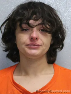 Mugshot of MICHELLE MARIE APODACA