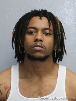 Mugshot of JOSHUA JOHNSON