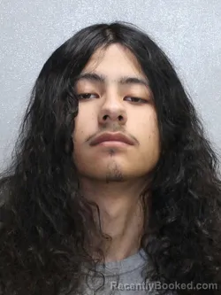 Booking photo from Stephenson County, Illinois