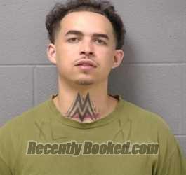 Booking photo from Will County, Illinois