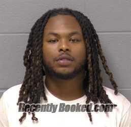 Booking photo from Will County, Illinois