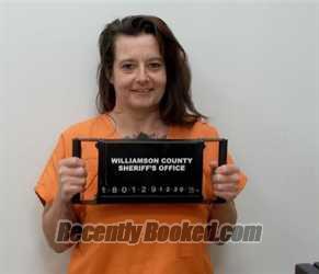 Booking photo from Williamson County, Illinois