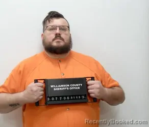 Booking photo from Williamson County, Illinois