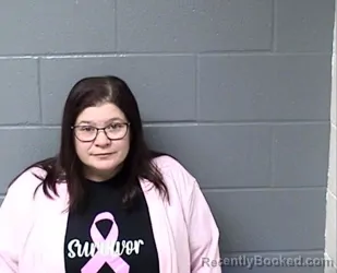 Booking photo from Woodford County, Illinois