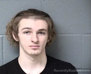 Booking photo from Woodford County, Illinois