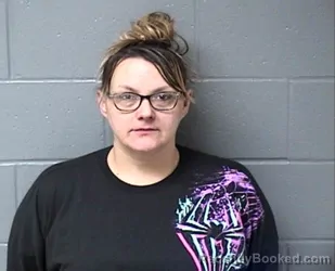 Booking photo from Woodford County, Illinois