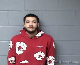 Mugshot of RYAN E HIGGINBOTTOM