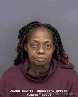 Mugshot of ANIKA N JOHNSON
