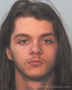 Mugshot of Max Gregorykeith Leins