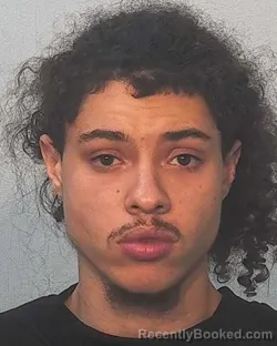 Mugshot of Mikhail Leelomalik Walker