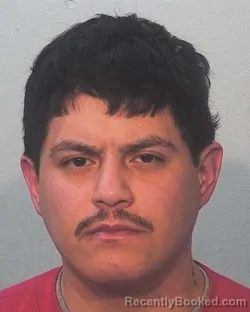 Mugshot of Pedro Luis Tamayopantoja